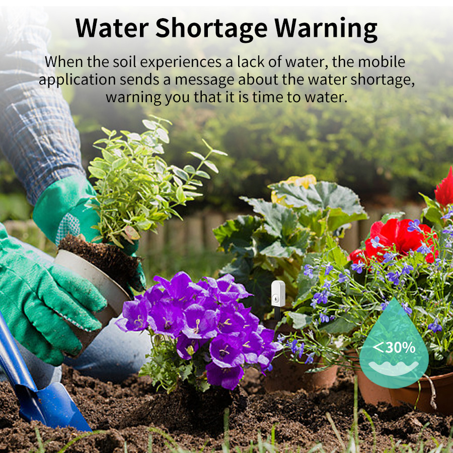 Smart ZigBee Soil Moisture Sen - đánh giá và giá Smart Garden Products