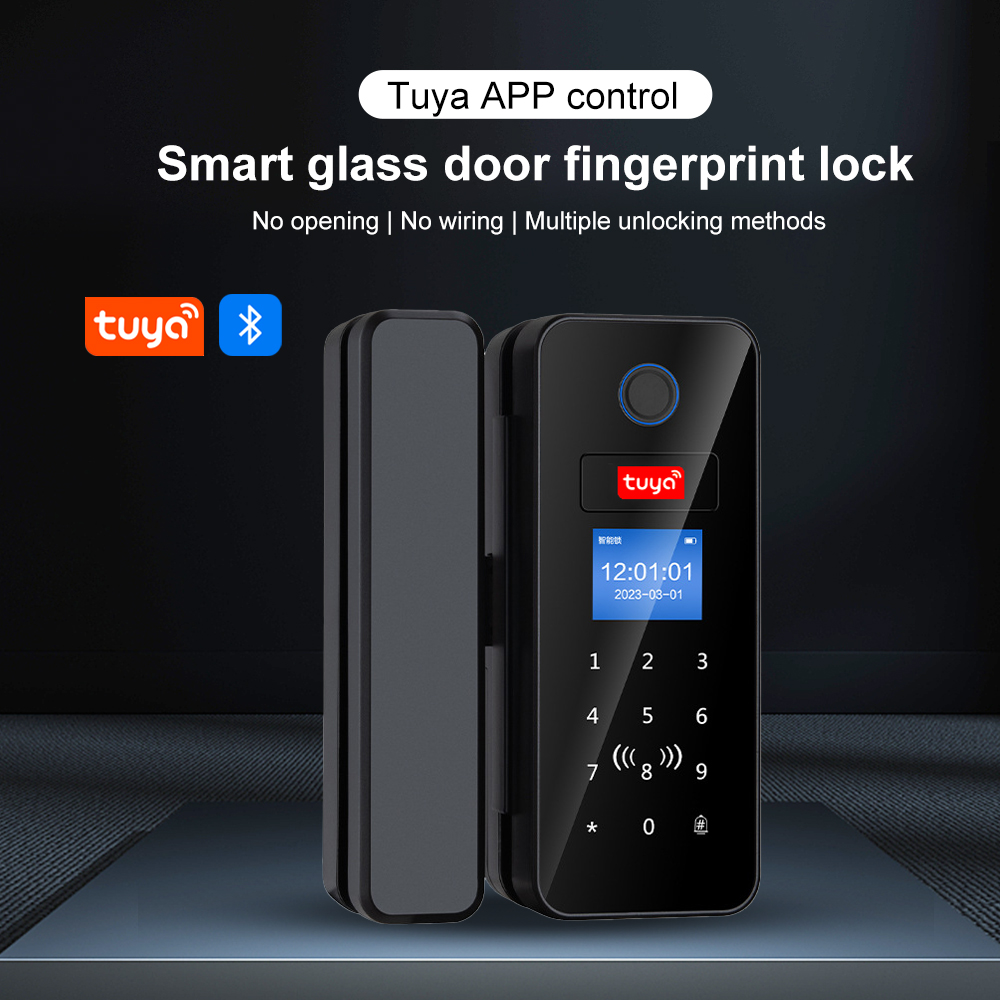 Double Hook Smart Glass Door L - đánh giá và giá Smart Garden Door Lock