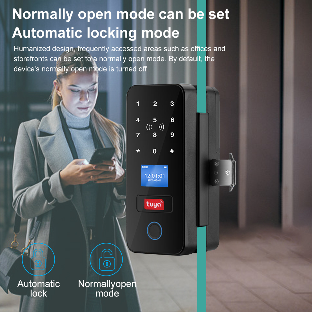 Double Hook Smart Glass Door L - đánh giá và giá Smart Garden Door Lock
