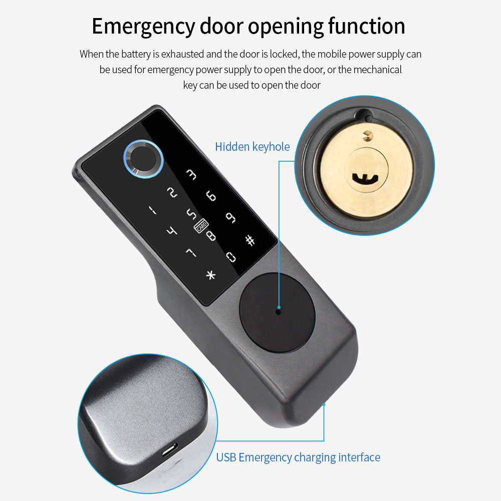 TUYA WIFI Smart Door Lock Fing - đánh giá và giá Smart Garden Door Lock