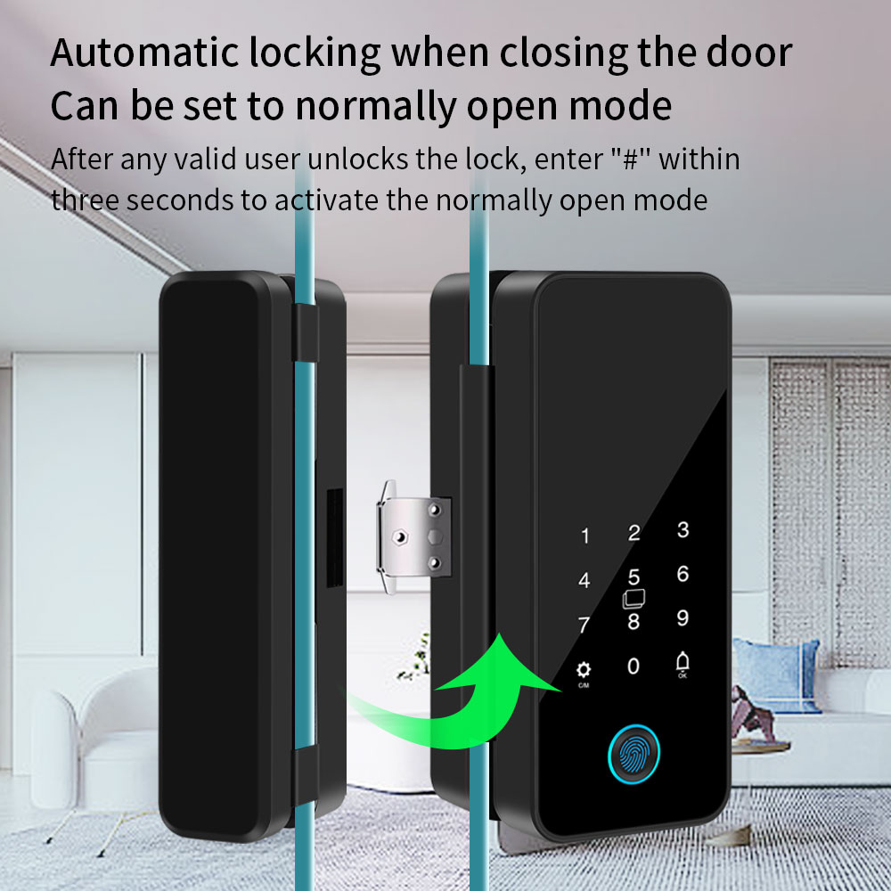 Tuya Smart Life Bluetooth Glas - đánh giá và giá Smart Garden Door Lock