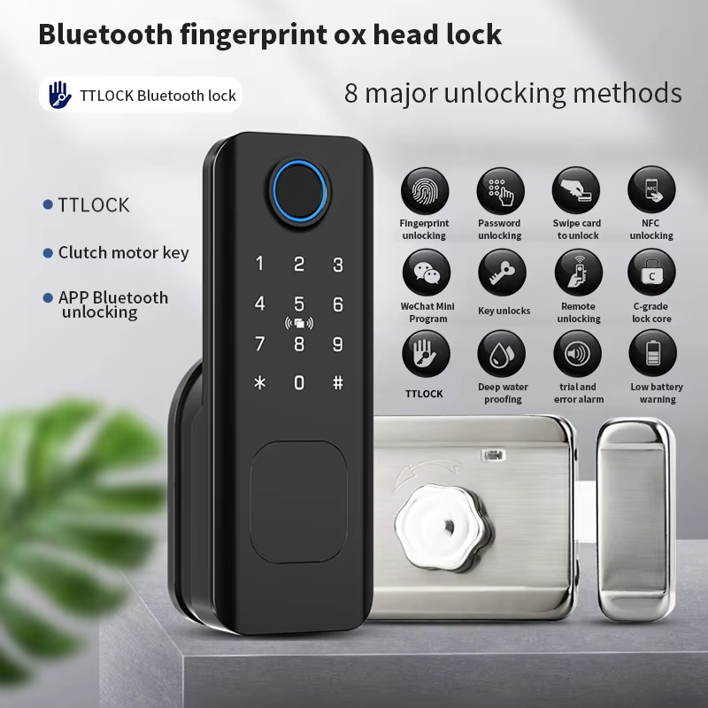 Beginnerr Tuya Ttlock Outdoor  - đánh giá và giá Smart Garden Door Lock