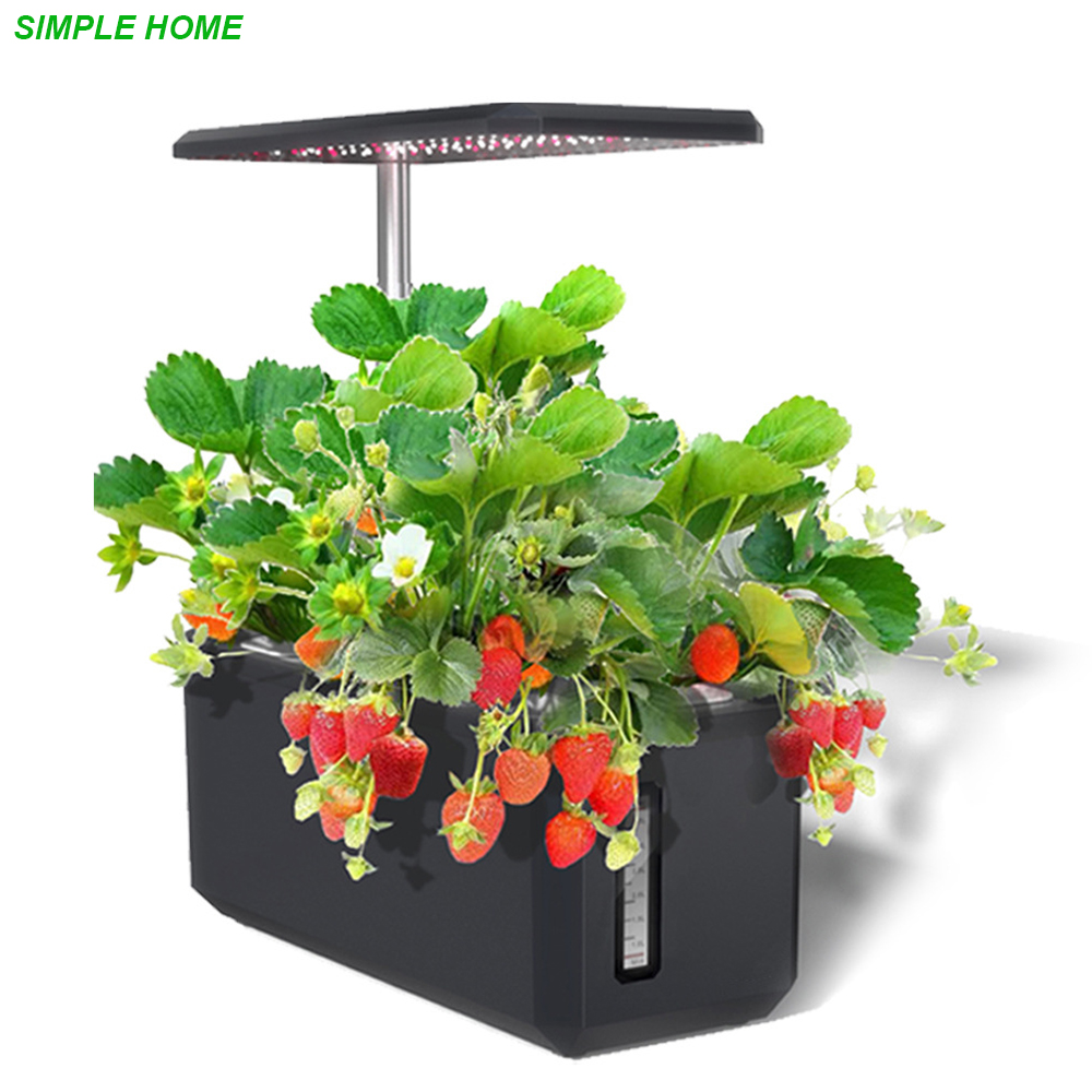 Hydroponics Growing System Wit - đánh giá và giá Smart Garden Nursery