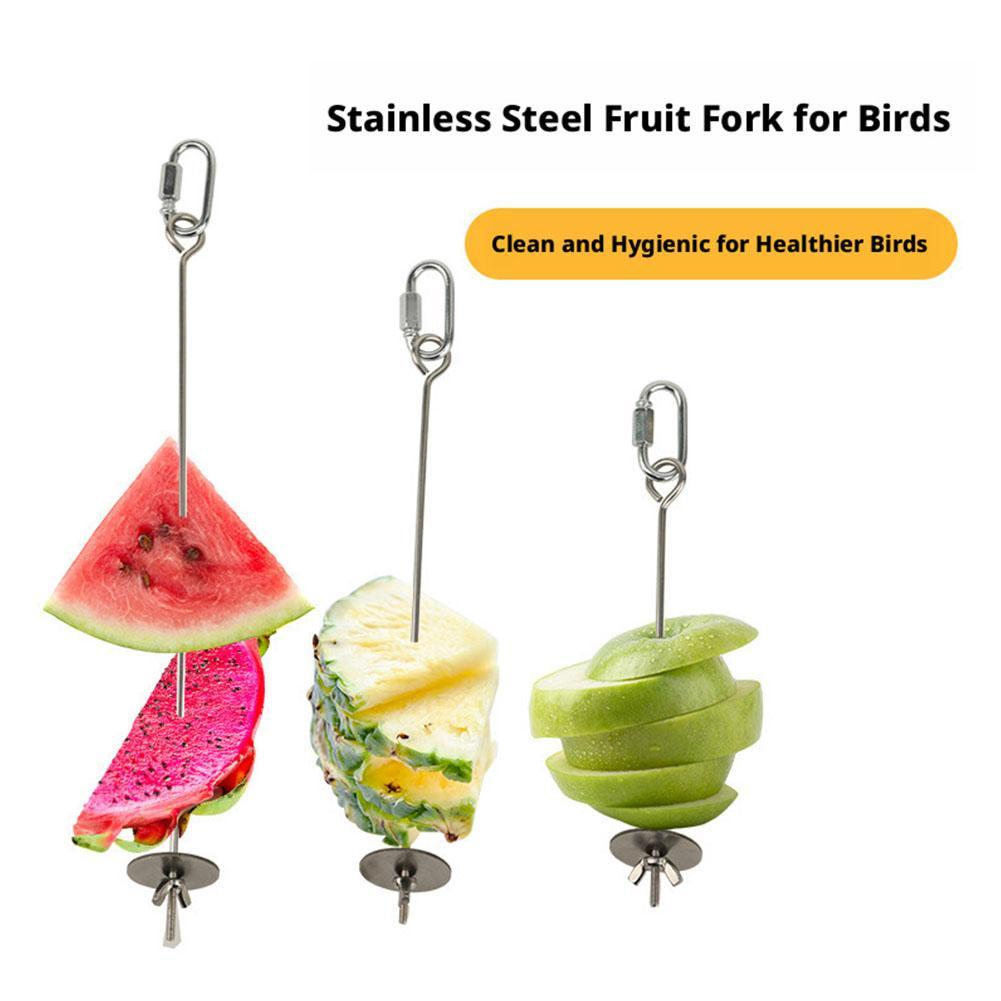 Pet Parrots Birds Food Holder  - đánh giá và giá Smart Garden Kitchen