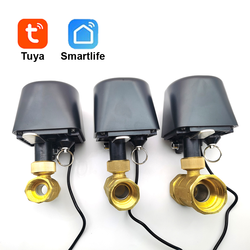Tuya WiFi or Zigbee Water Valv - đánh giá và giá Smart Garden Sensors